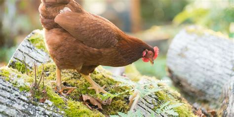 Image result for Breadth vs Depth Modeling