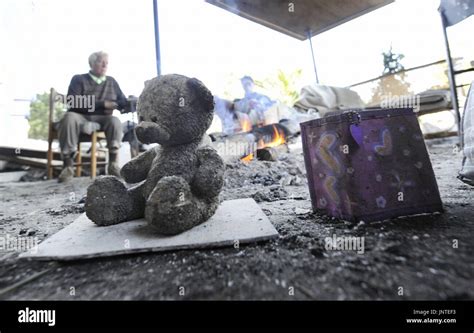 Image result for Teddy Covered in Mud