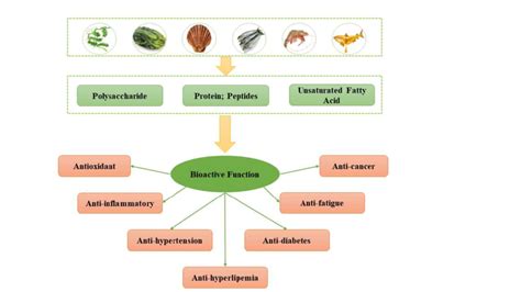 Image result for Biologic Function Examples