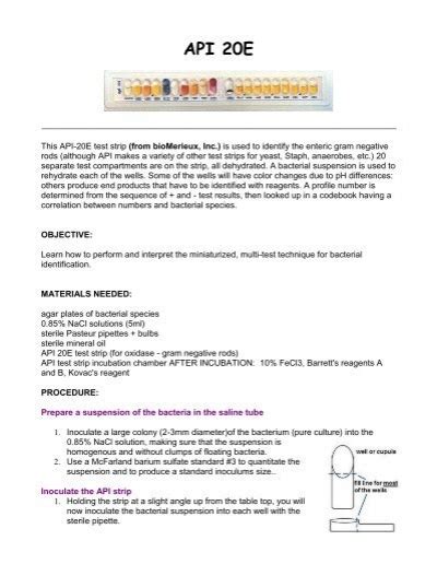 Image result for API Test Strips Chart