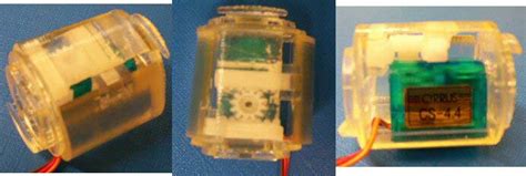 Image result for Module Support