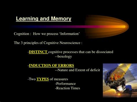 Image result for Learning and Memory Presentation