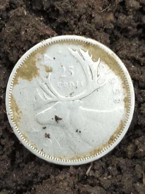 Image result for Finding Silver Quarters Metal Detecting