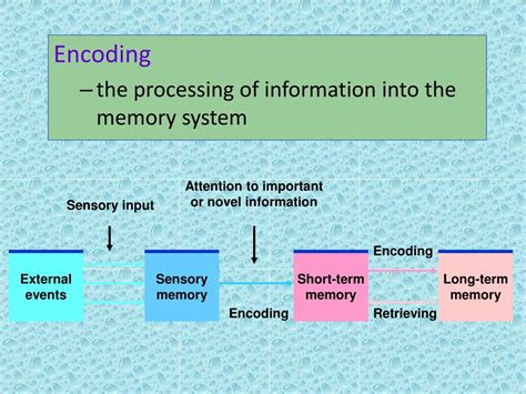 Toradh íomhá ar Encoding Psychology Definition