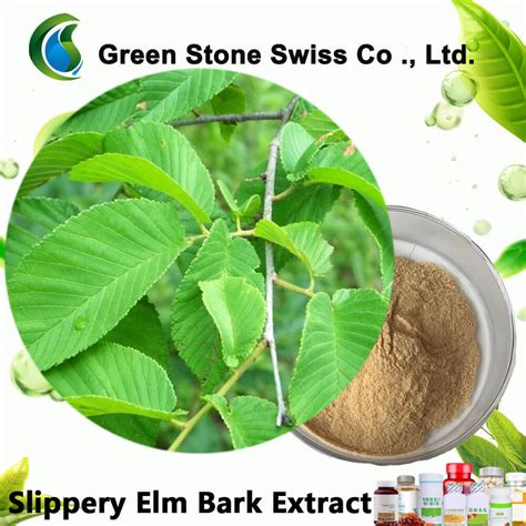 Image result for Elm Tree Bark Extract