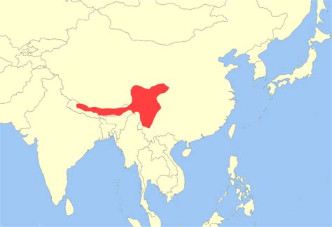 Toradh íomhá ar Red Panda Information