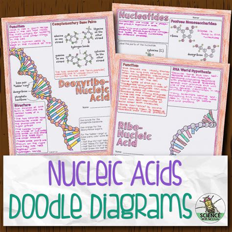 Image result for Nucleic Acids Worksheet Answer Key