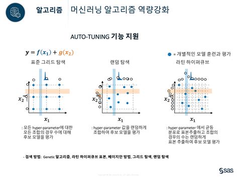 Example SAS Viya Calculation Formula に対する画像結果
