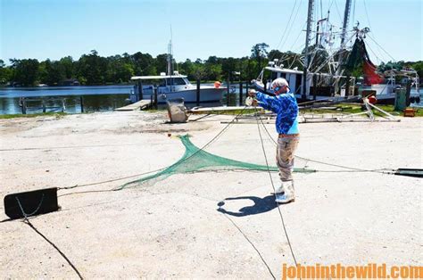 Shrimping FrameNet に対する画像結果