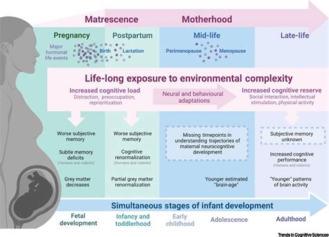 Negative Effects of Biological Development に対する画像結果