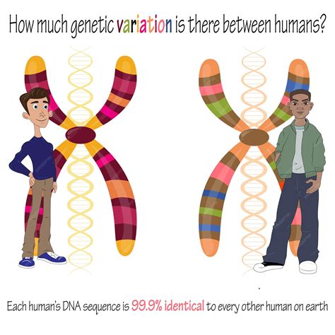 Image result for Human Genetics
