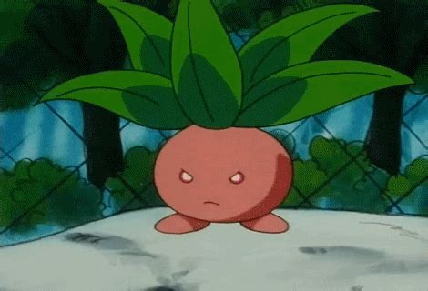 Image result for Odish Valencian Pink Pixelmon