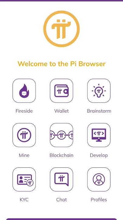 Image result for Wallet Pi Money