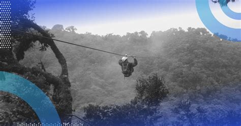 Image result for Rust Cursor Tree Traversal