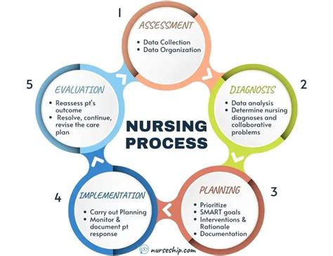 Nursing Process Steps に対する画像結果