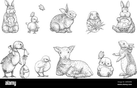 Image result for Spring Animal Drawing