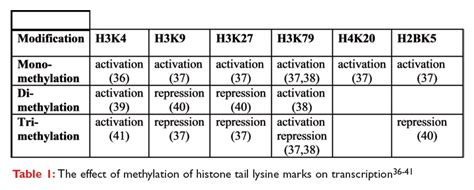 Histone Modification Expression Table に対する画像結果