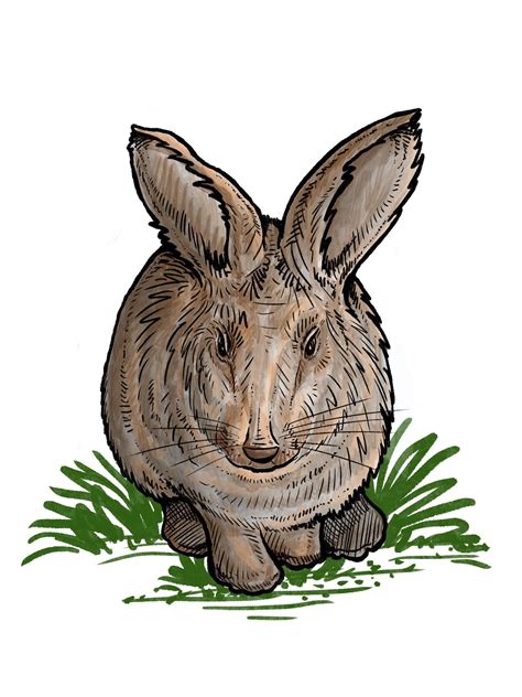 iPad 9th Generation Procreate に対する画像結果