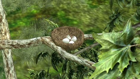 Image result for Python Nest