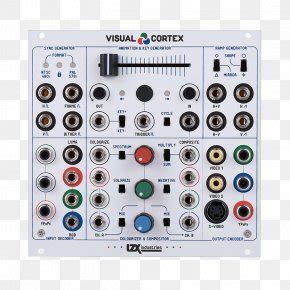 Image result for Visual Cortex Bra in Transparent