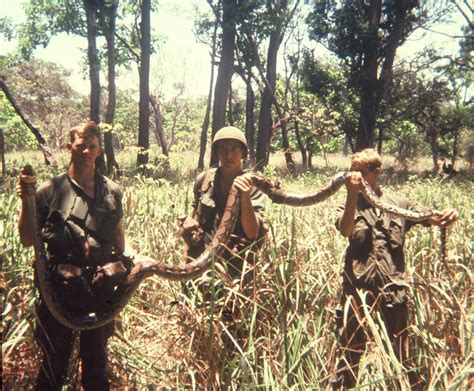 Afbeeldingsresultaten voor Vietnam Python