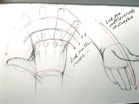 Image result for Base Shape Hand 2D Corel