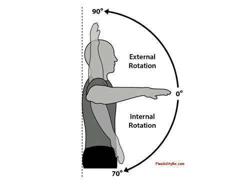 Image result for Internal Rotation
