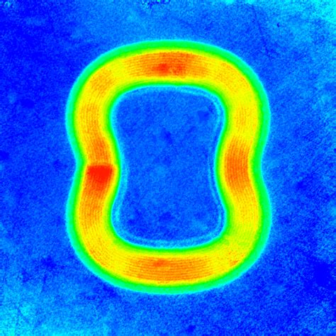 Image result for Formed Part