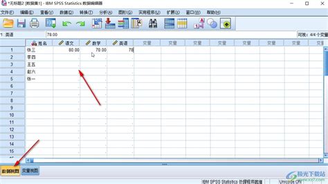 Toradh íomhá ar SPSS Data File Image