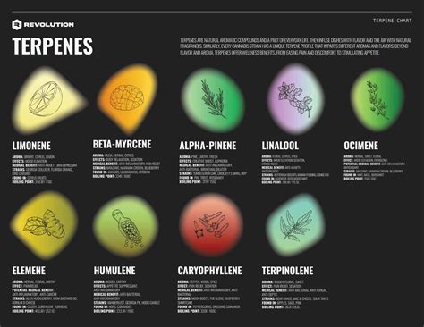 Bildergebnis für How to Add Terpenes to Water
