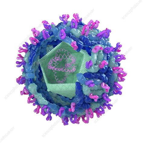 Toradh íomhá ar West Nile Virus Icon