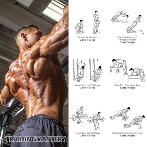 Image result for Broad Back Build