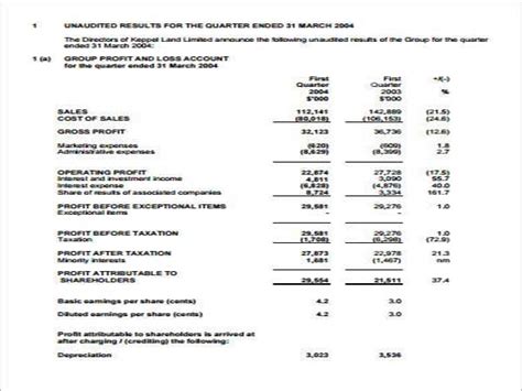 Image result for Basic Income Statement Template