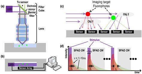 Image result for SPAD Array Imaging