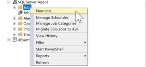 Image result for SQL Server Agent SSIS