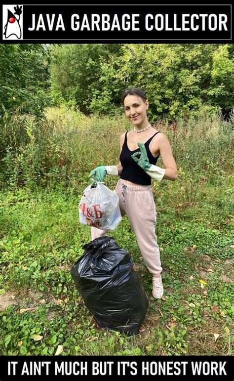 Image result for Java Garbage Collector Meme