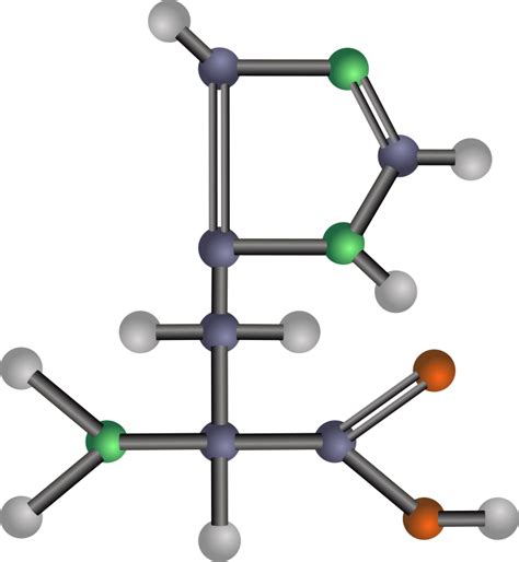 Afbeeldingsresultaten voor Histidine Amino Acid Function