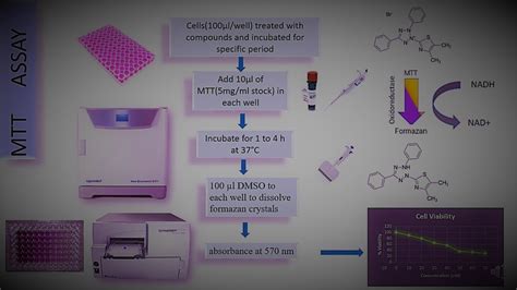 Toradh íomhá ar MTT Assay Explained
