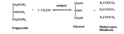 Image result for Transesterification