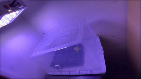 Image result for How to Use a Humidity Dome