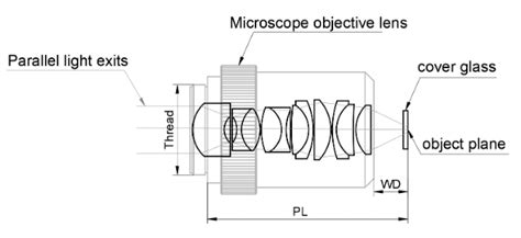 Image result for Objective Lenses Drawing Microscope