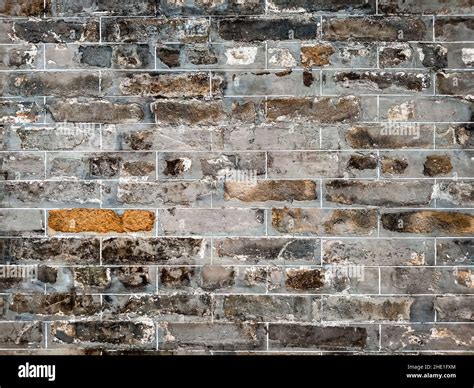 Rustic Wall Texture に対する画像結果