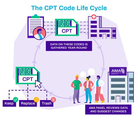 Image result for Current CPT Codes