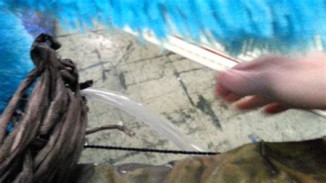 Exploding Shreck Bird に対する画像結果