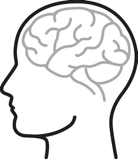 Image result for Simple Brain Outline SVG