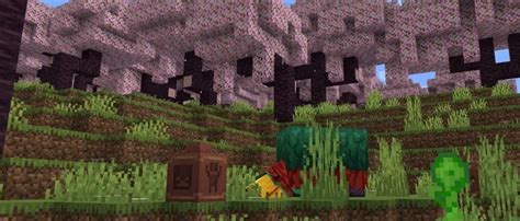 Java Snapshot Minecraft New Biom に対する画像結果