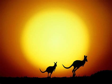 Image result for Australia Background
