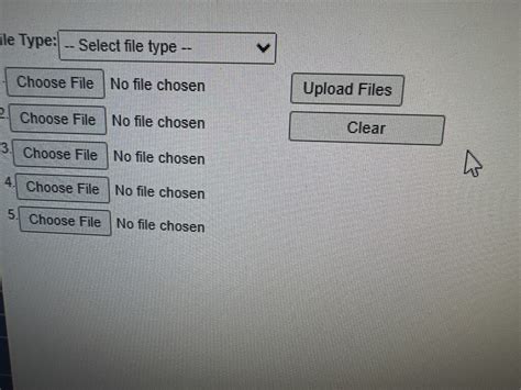 Screen for Multiple Path File Upload に対する画像結果