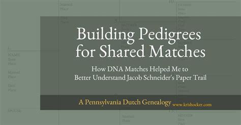 Afbeeldingsresultaten voor Shared Matches On AncestryDNA