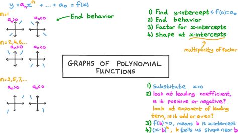 Polynomial Graph に対する画像結果